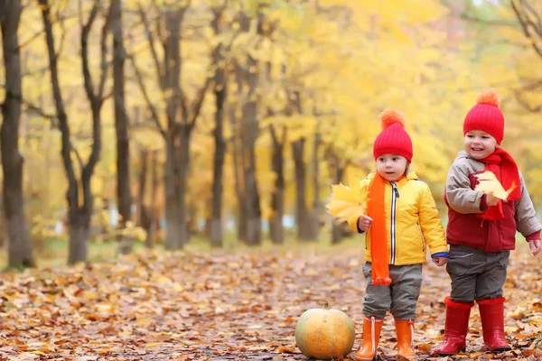 Kinder im Herbstpark mit Kürbis — Stockfoto