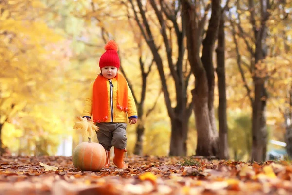 Kid in herfst park met pompoen — Stockfoto