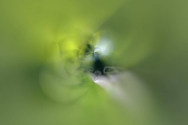 Yeşil arka plan hatları ve bulanık açıları