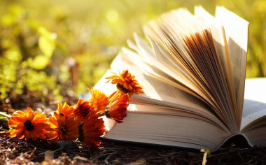 Sarı sonbahar açık kitap