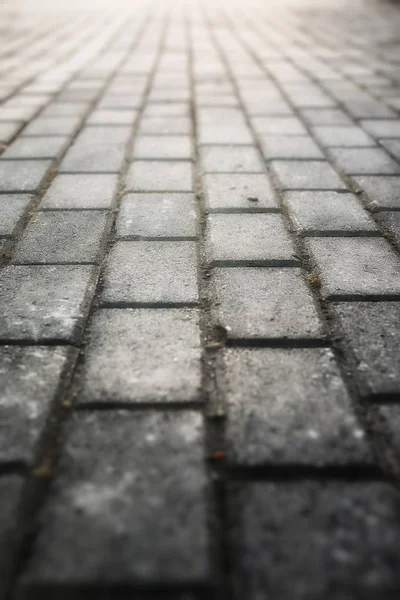 Gray paving stone path goes away the prospect in sunset — Stock Photo, Image