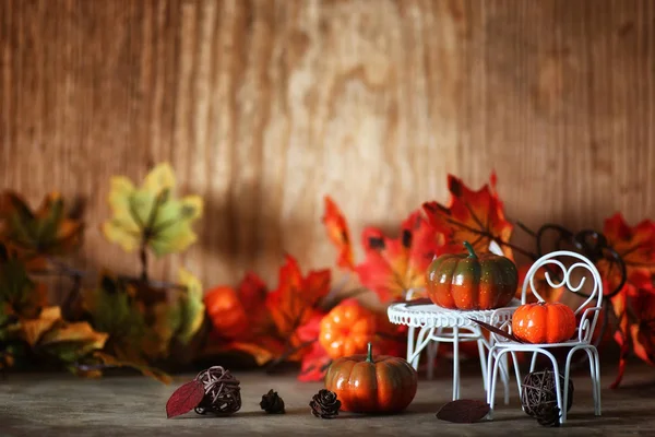 Zucca fresca in camera di legno interna sulla sedia — Foto Stock