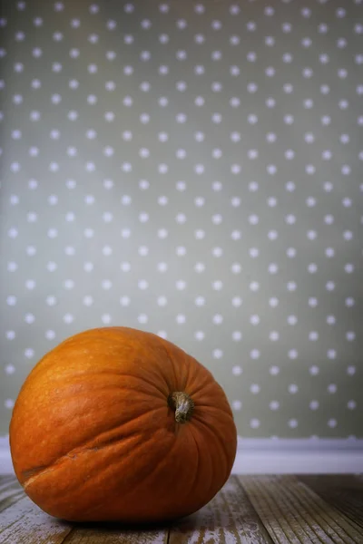 Citrouille fraîche dans la chambre intérieure en bois sur chaise — Photo