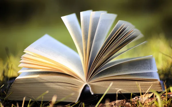 Sarı sonbahar açık kitap