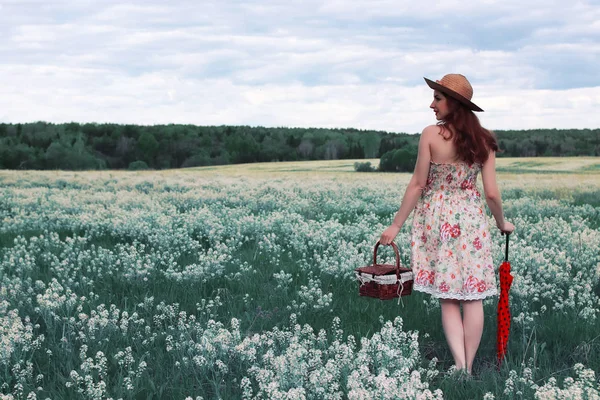 bir yaz çayır beyaz çiçek kız