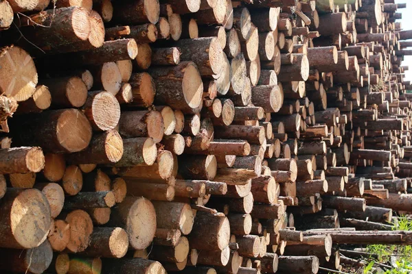 Uzun Boyutlanmış günlükleri yalan yığının üzerine