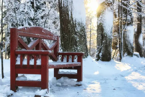 Деревянная скамейка зимой — стоковое фото