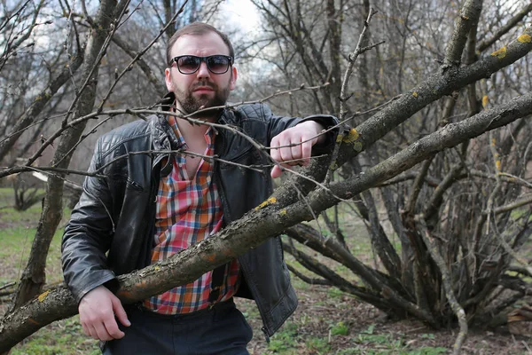 sakallı adam park ağaç