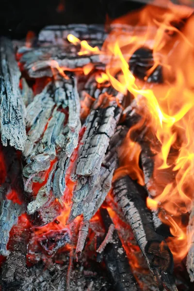 Coal and fire flame — Stock Photo, Image