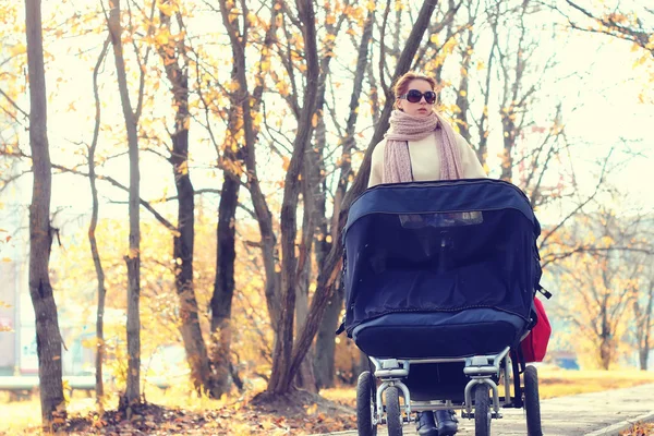 Mother in a park stroller autumn — Stock Photo, Image