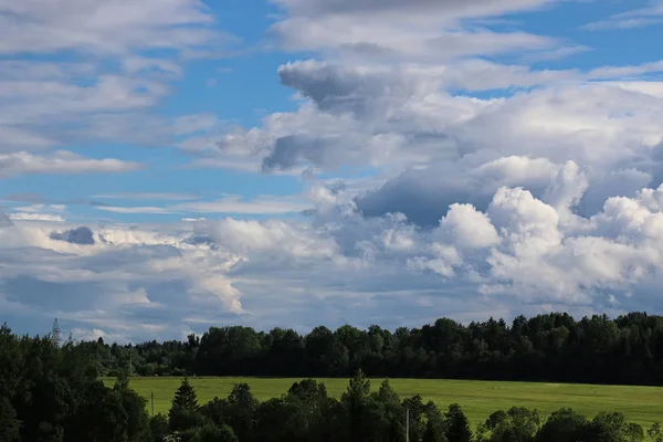 Peyzaj çayır gökyüzü bulut
