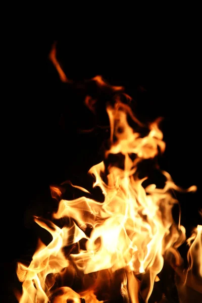 Flammenzungen des Feuers von orange-gelber Farbe von brennender Tanne — Stockfoto