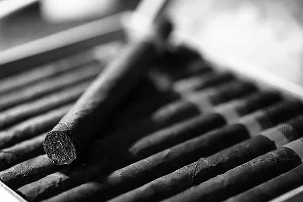 Monochrome photo of large wooden box of cigars handmade Cuban — Stock Photo, Image