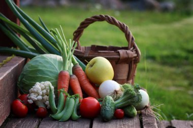 taze sebze hasat doğa açık