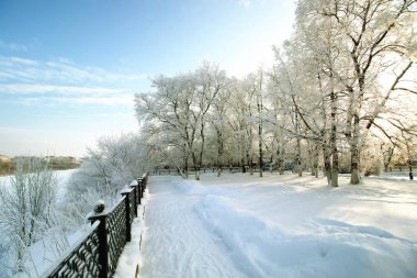 çit kapalı kar kış parkı