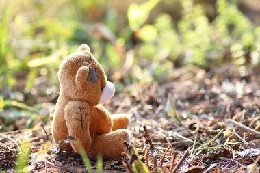 yerde yalnız oyuncak