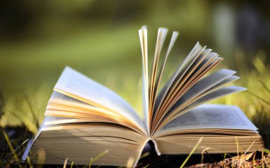 Sarı sonbahar açık kitap