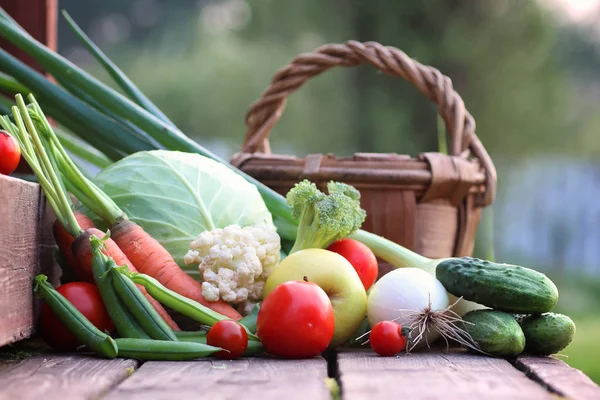 taze sebze hasat doğa açık