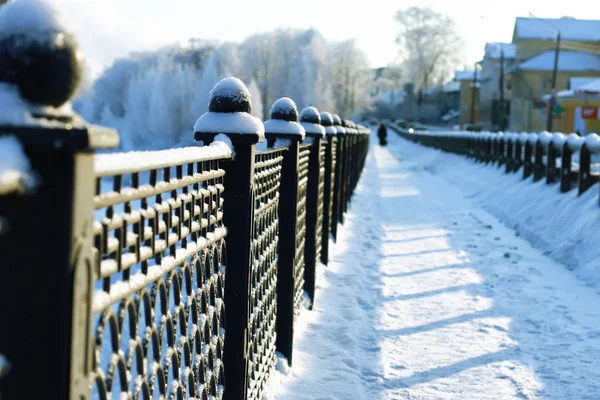 çit kapalı kar kış parkı
