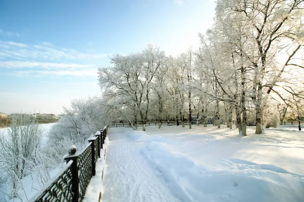 çit kapalı kar kış parkı