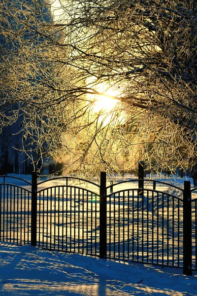 Fence covered snow winter park — Stock Photo, Image