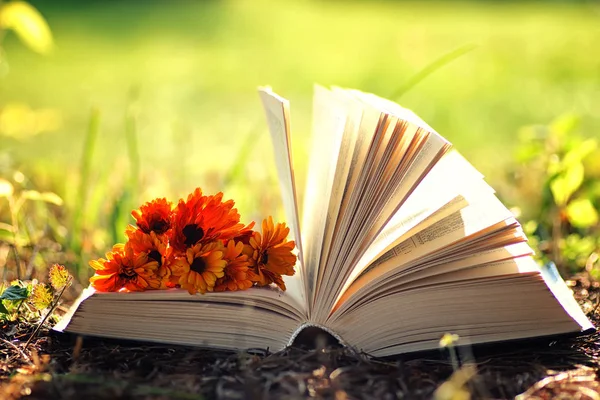 Çimenlerin üzerinde çiçek ile açık kitap
