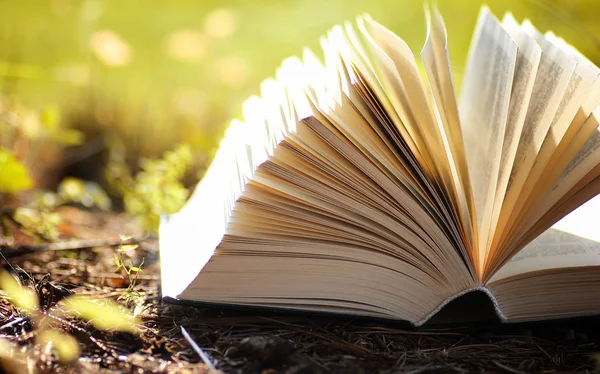 Sarı sonbahar açık kitap