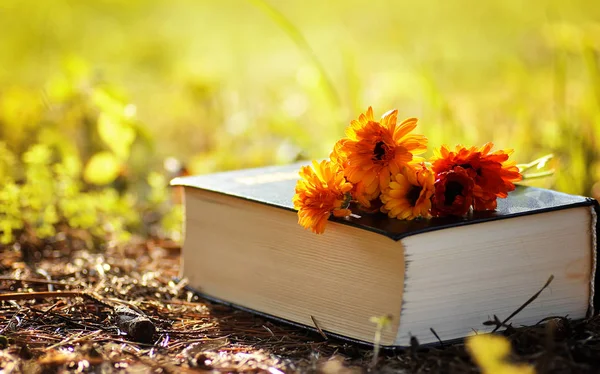 Sarı sonbahar açık kitap