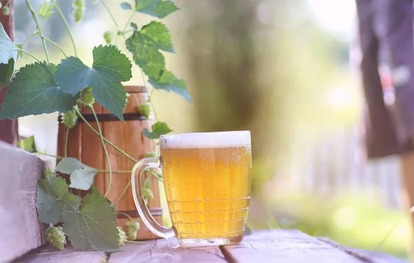 Glass of beer wooden hop nature — Stock Photo, Image