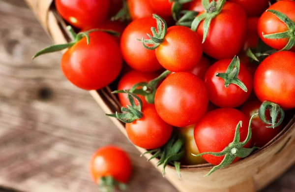 sepet hasat taze domates