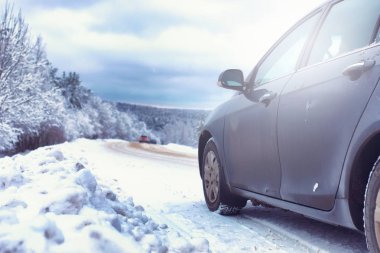 karla kaplı vahşi ile kış ormandaki manzara