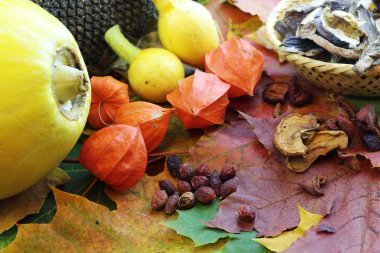 Hala kalan yaprakları kabak