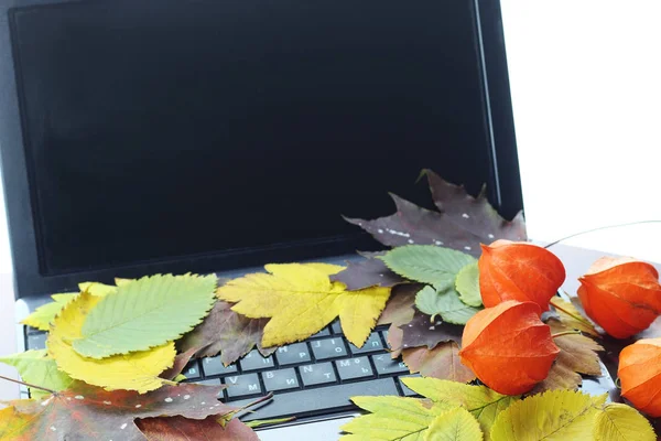 Autumn leaves on a laptop — Stock Photo, Image