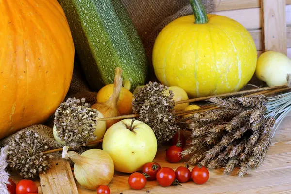 Kabaklar ve sonbahar sebze domates hasat