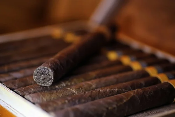 Grande scatola di legno di sigari fatti a mano cubano — Foto Stock