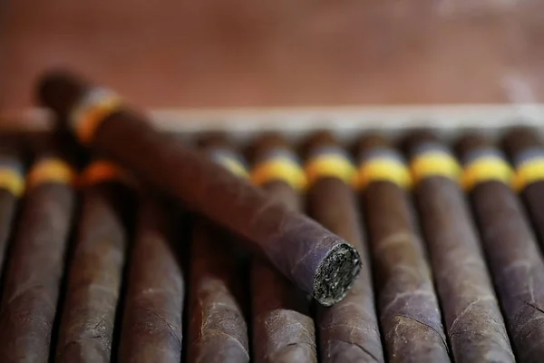 大规格的雪茄木盒手工古巴 — 图库照片