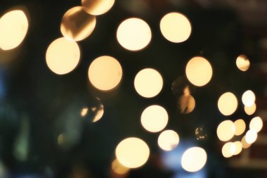 Garland ışıklar açık köknar ağacı dalı Mevsimlik arka plan