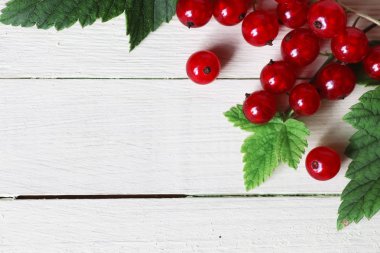 Frenk üzümü berry arka plan