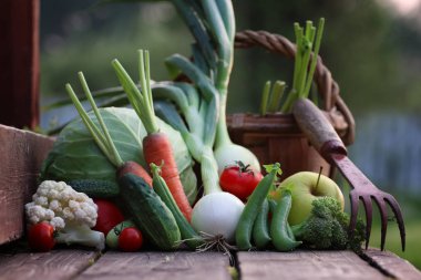 taze sebze hasat doğa açık