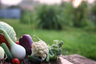 taze sebze hasat doğa açık