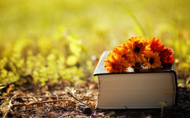 Sarı sonbahar açık kitap