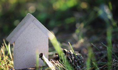 çimenlerin üzerinde evin düzeni