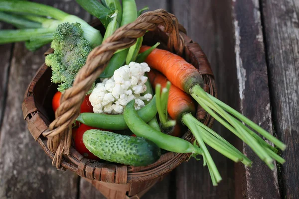 sebze sepeti harvest yılında