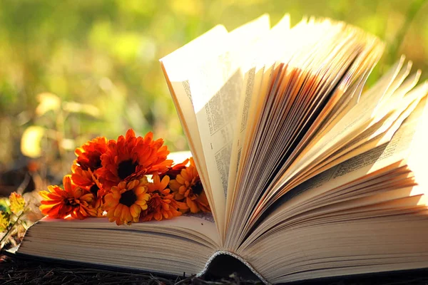 Çimenlerin üzerinde çiçek ile açık kitap