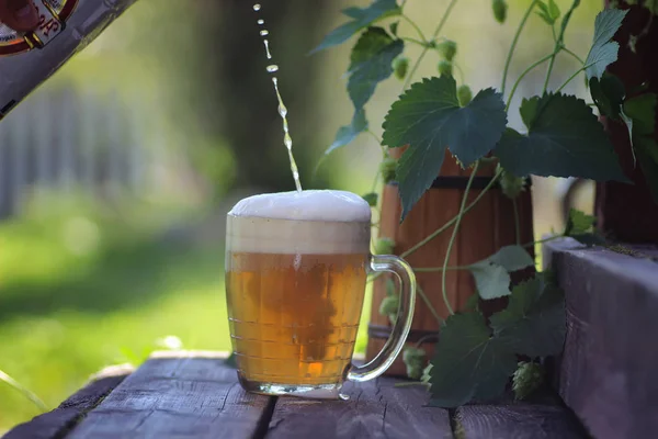 Piwa szkła drewniane hop odkryty — Zdjęcie stockowe
