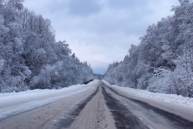 manzara yolda kar kış ormanıyla kaplı