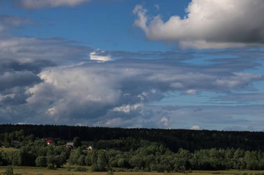 Peyzaj çayır gökyüzü bulut