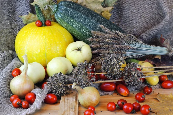 Kabaklar ve sonbahar sebze domates hasat