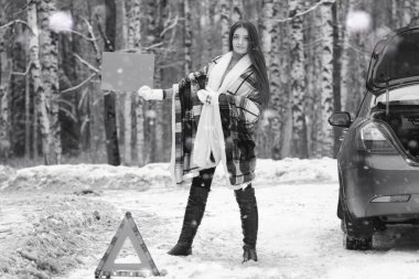 Bir kız bir kış bulutlu günde