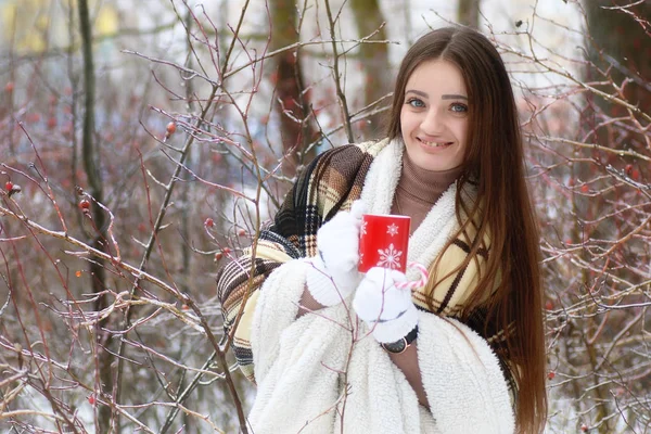 Mooie meisje in besneeuwde winterdag — Stockfoto